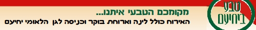 פרסומת